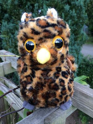 The owl soft toy accompanies Sue's fifth book: Owl to the Rescue