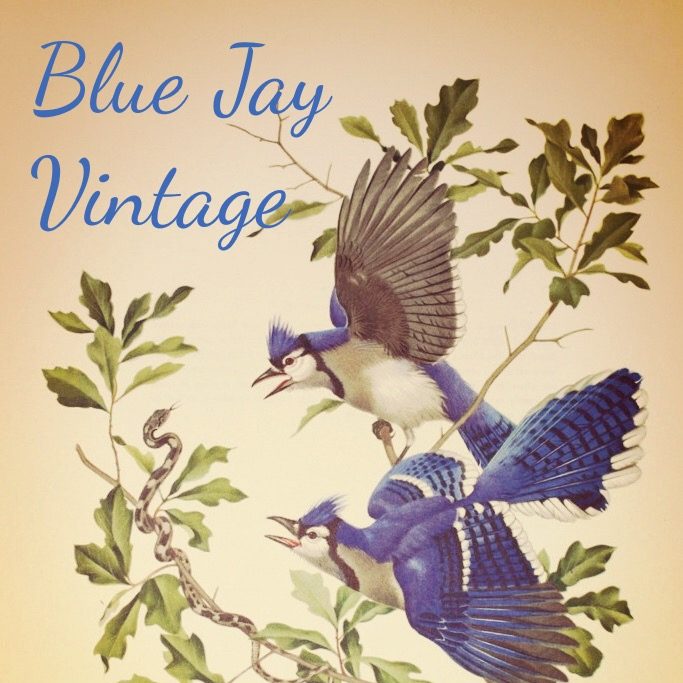Blue Jay Vintage