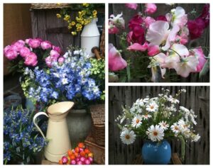 Allington Petal