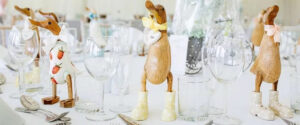 Mamma Duck Company