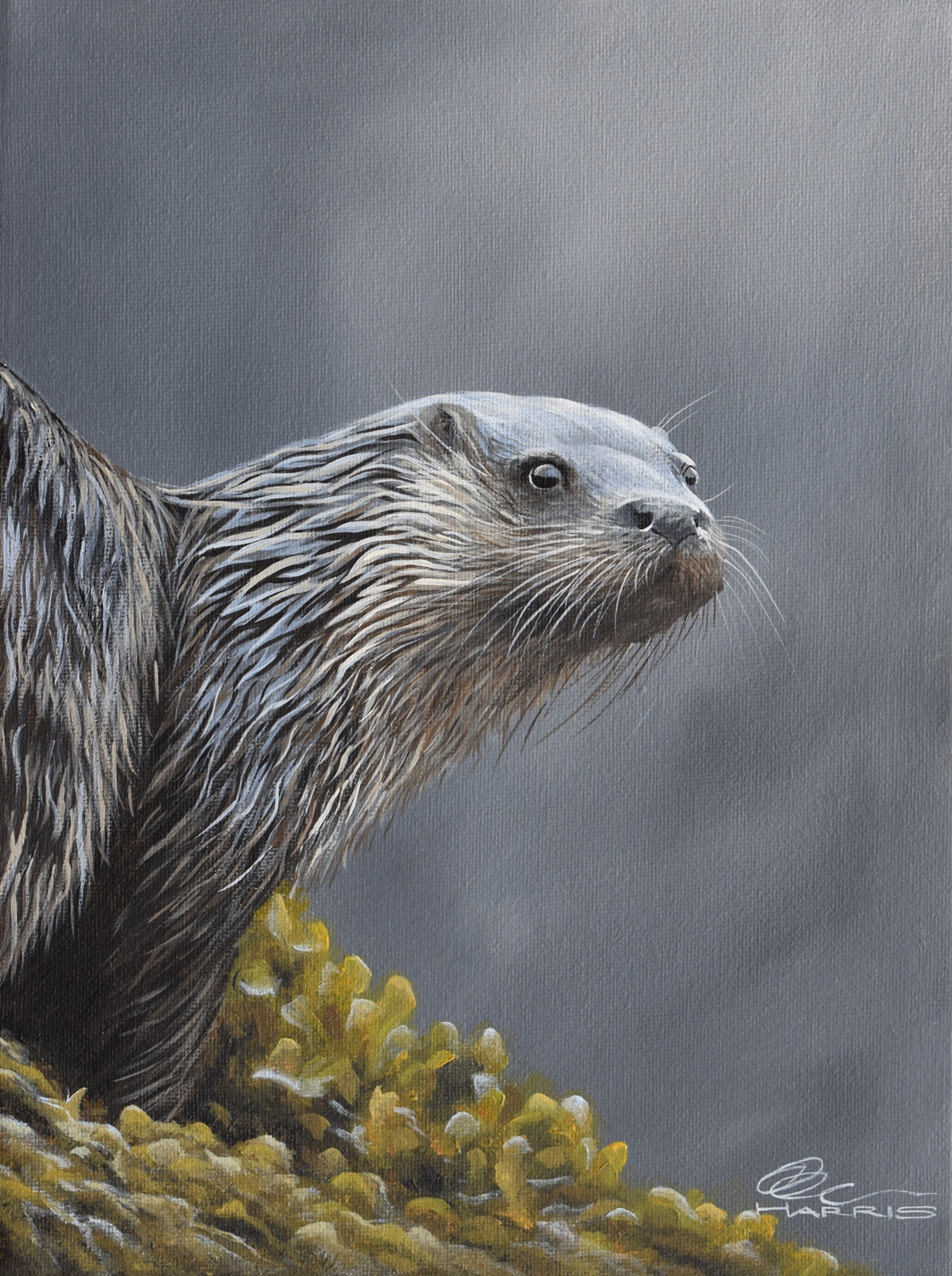 Andrew Harris Artist