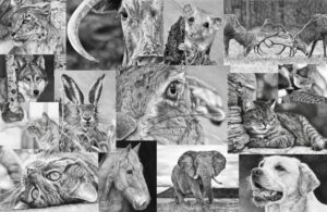 Frances Vincent Arts