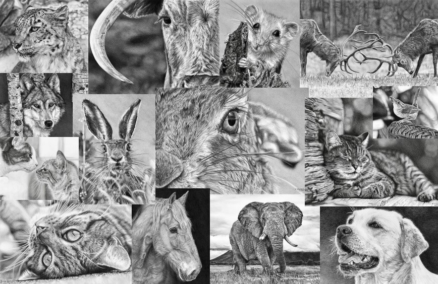 Frances Vincent Arts