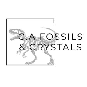C.A. Fossils and Crystals