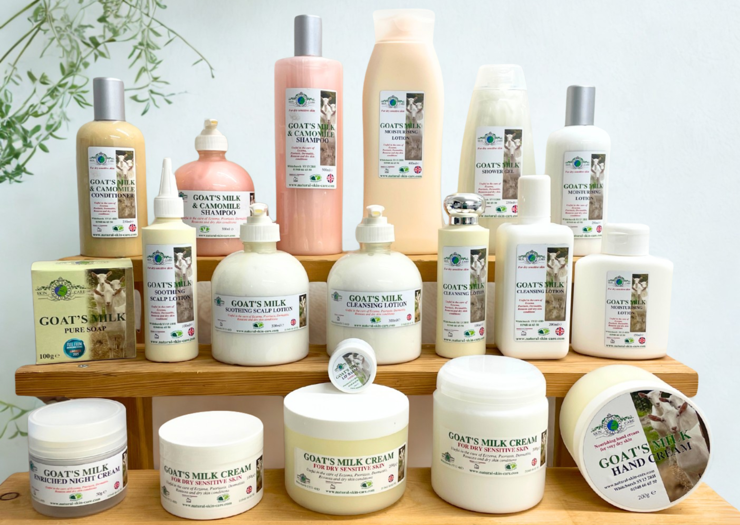 Elegance Natural Skin Care